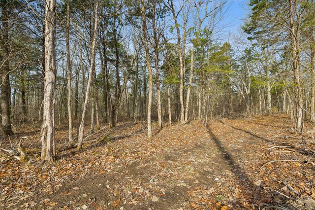 0 Morgan Rd, Rockvale, TN 37153