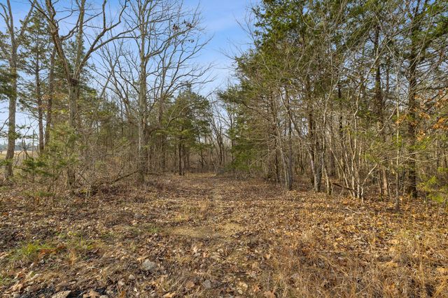 0 Morgan Rd, Rockvale, TN 37153