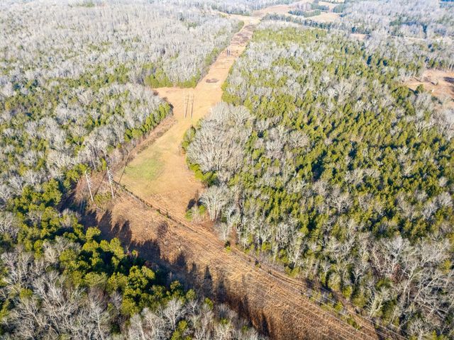 0 Morgan Rd, Rockvale, TN 37153