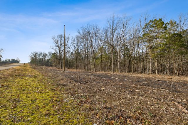 0 Morgan Rd, Rockvale, TN 37153