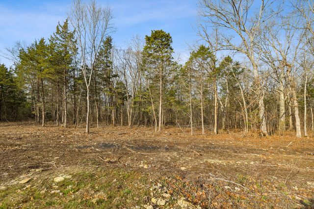 0 Morgan Rd, Rockvale, TN 37153