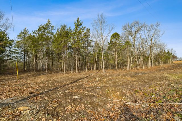 0 Morgan Rd, Rockvale, TN 37153