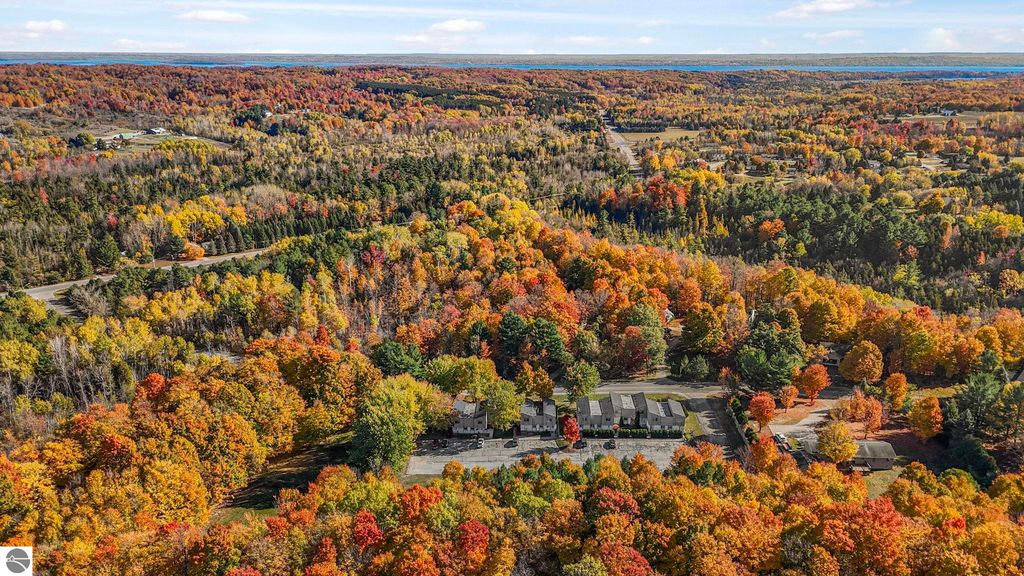 Aerial view of vibrant autumn foliage surrounding a townhouse community in Traverse City, Michigan, showcasing colorful trees and nearby roads, emphasizing the natural beauty of Leelanau County.