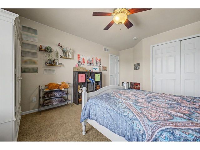 3343 Fantasy Pl, Castle Rock, CO 80109