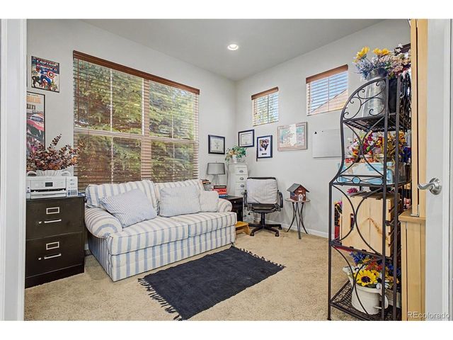 3343 Fantasy Pl, Castle Rock, CO 80109