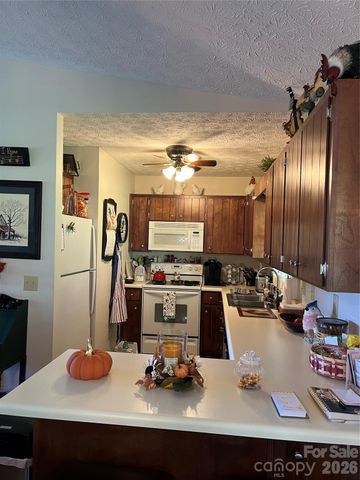 10 Onyx Lane, Maggie Valley, NC 28751