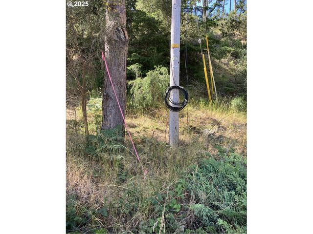 Fir St 06800, North Bend, OR 97459