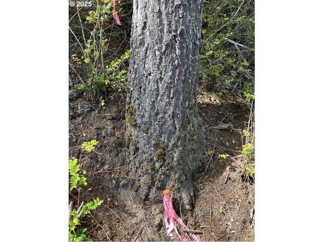 Fir St 06800, North Bend, OR 97459