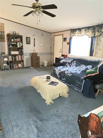 328 Sirius Road, De Soto, MO 63020