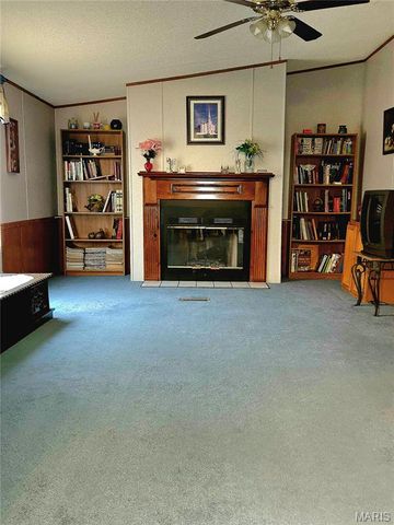 328 Sirius Road, De Soto, MO 63020