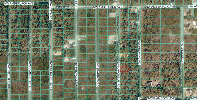 TBD1 NW NARCISSUS ROAD, Dunnellon, FL 34431