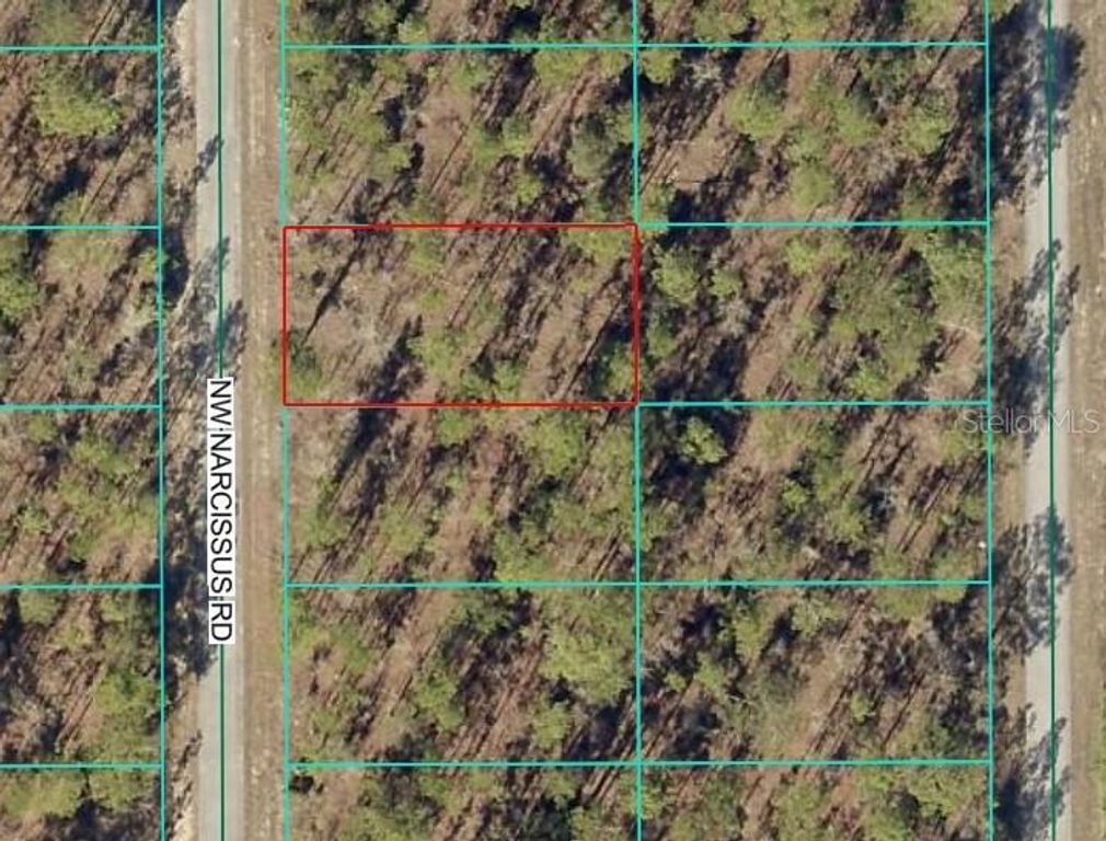 TBD1 NW NARCISSUS ROAD, Dunnellon, FL 34431