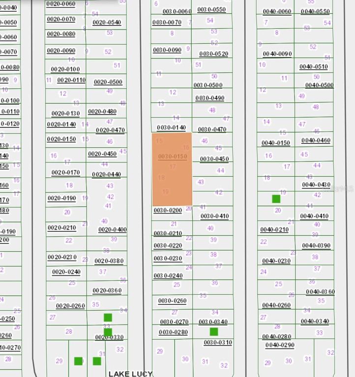 Image 4 of property listing at XX MANATEE STREET, Interlachen, FL 32148