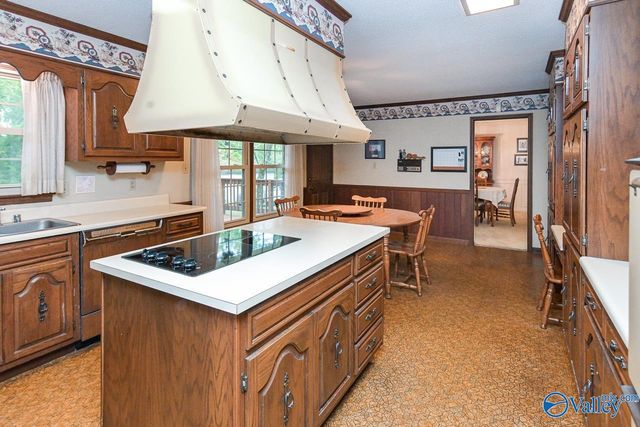 213 Brookhill Road, Somerville, AL 35670