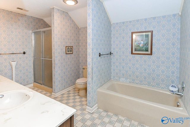 213 Brookhill Road, Somerville, AL 35670