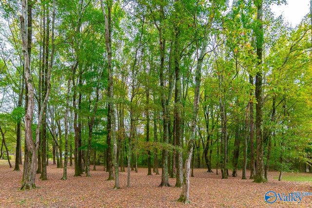 213 Brookhill Road, Somerville, AL 35670