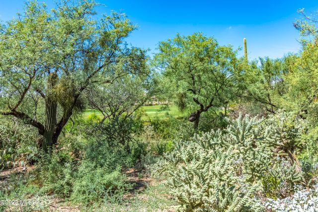5058 W Desert Chicory Place, Marana, AZ 85658