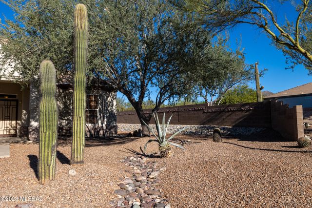 5058 W Desert Chicory Place, Marana, AZ 85658