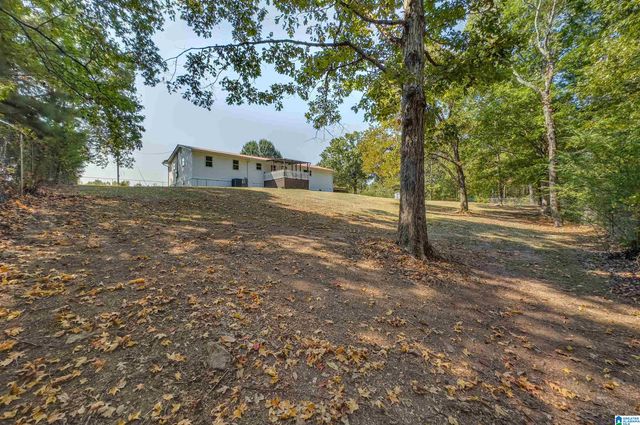 468 COUNTY ROAD 132, Jemison, AL 35085
