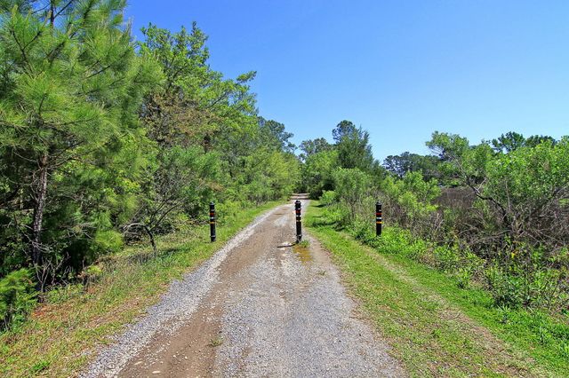 1053 Victoria Road, Wando, SC 29492