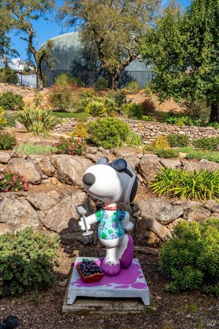 3729 Skyfarm Dr, Santa Rosa, CA 95403