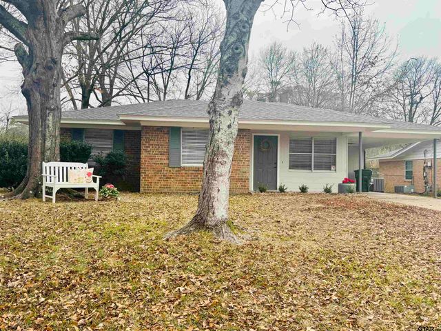 3131 Greg Ln, Tyler, TX 75701