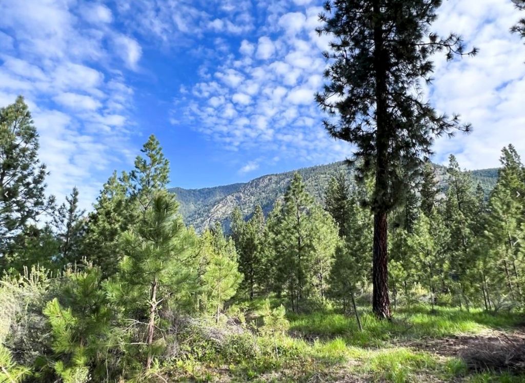 Image 1 of property listing at Nhn Mahonia Road, Plains, MT 59859