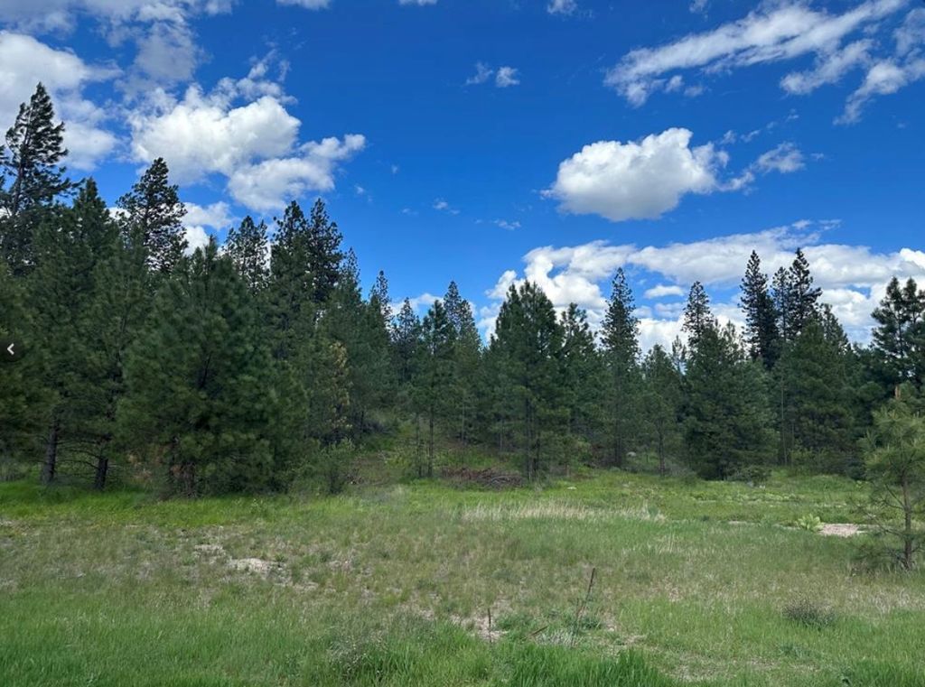 Image 3 of property listing at Nhn Mahonia Road, Plains, MT 59859