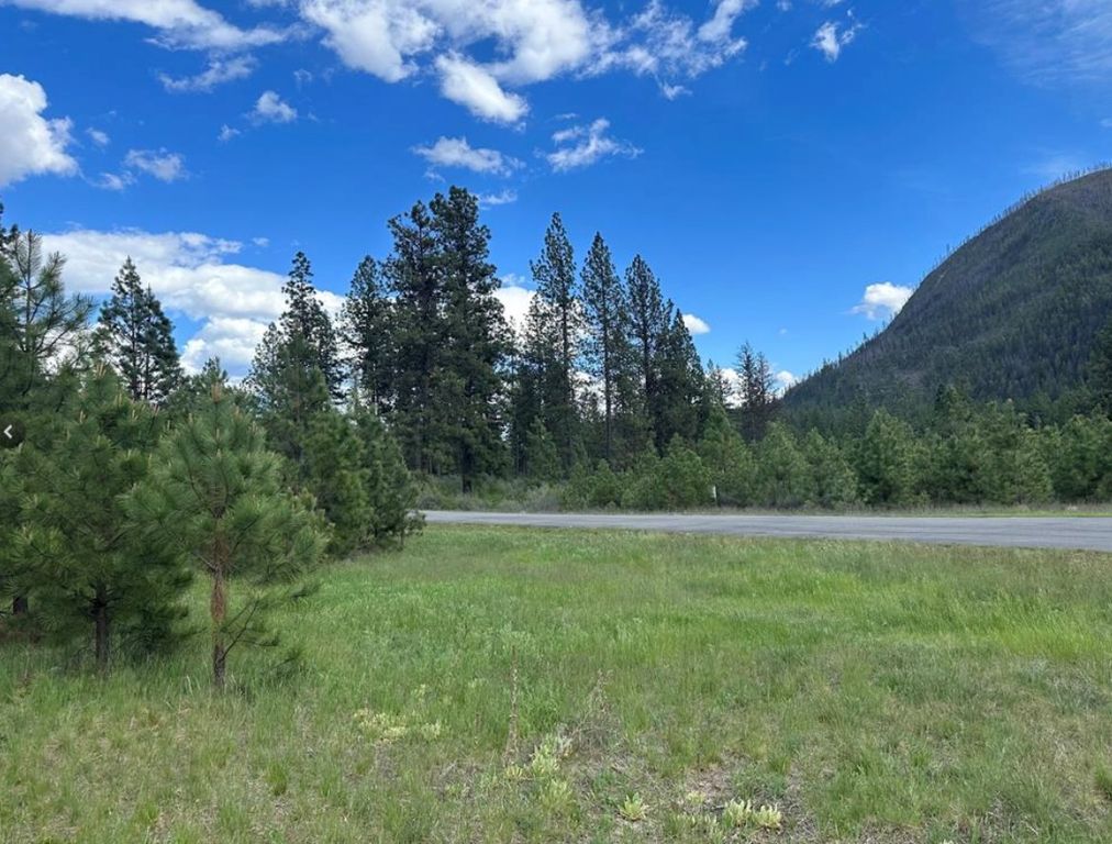 Image 4 of property listing at Nhn Mahonia Road, Plains, MT 59859