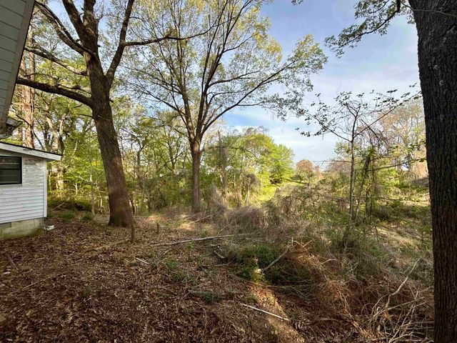 845 NEEDHAM RD, Drummonds, TN 38023