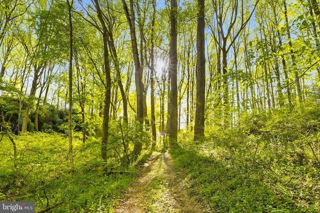7049 MINK HOLLOW RD, Highland, MD 20777