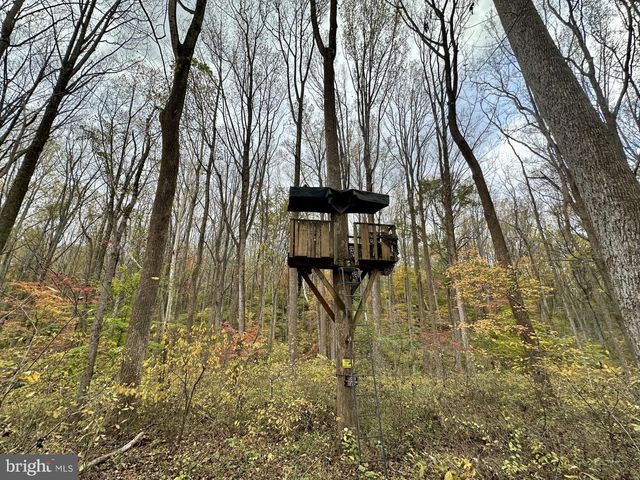7049 MINK HOLLOW RD, Highland, MD 20777