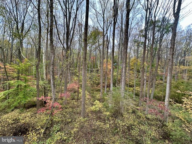 7049 MINK HOLLOW RD, Highland, MD 20777