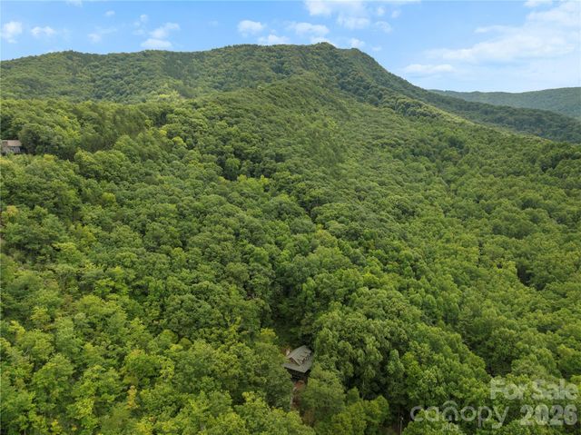 236 Holland Drive, Black Mountain, NC 28711