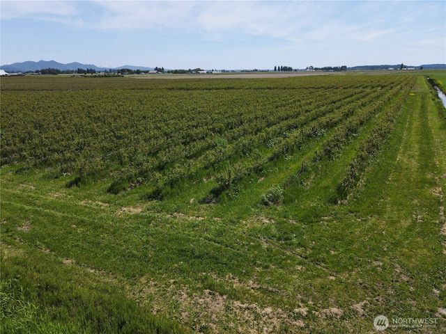 0 Young Road, Mount Vernon, WA 98273