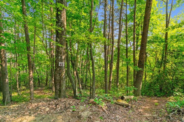 12 S Shivas Crest, Rising Fawn, GA 30738