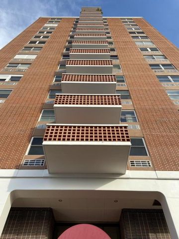 4015 BAYSHORE 17A, Tampa, FL 33611