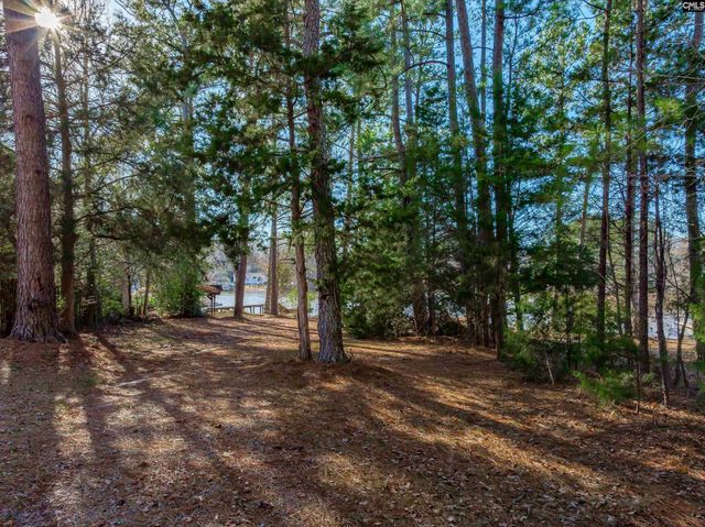 540 Lakeshore Drive, Chapin, SC 29036