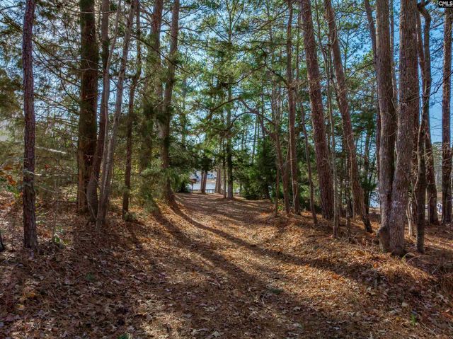 540 Lakeshore Drive, Chapin, SC 29036