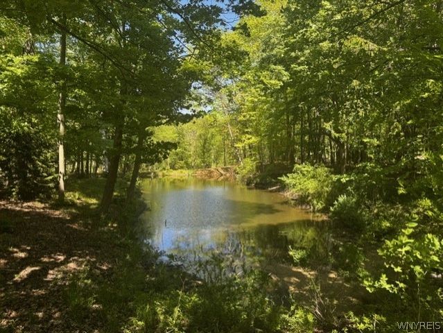 4233 Freeman Road, Orchard Park, NY 14127