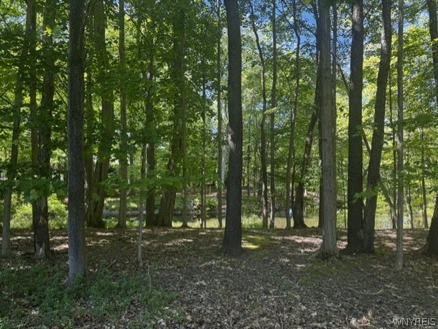 4233 Freeman Road, Orchard Park, NY 14127