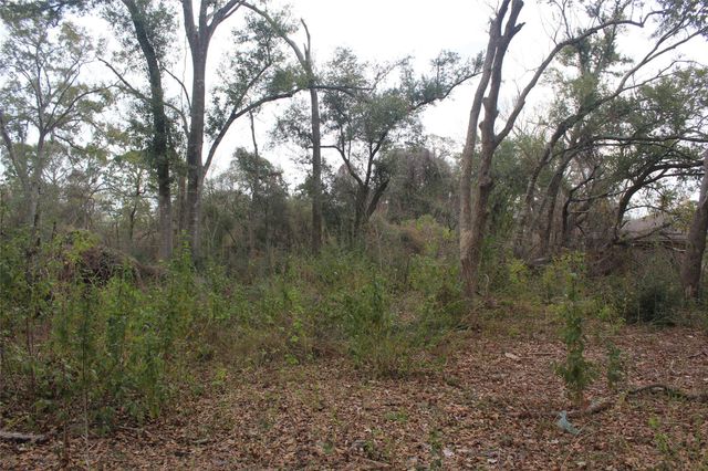 265 Wayne Drive, Clute, TX 77531