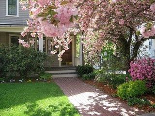49 Clark Street 49, Newton, MA 02459