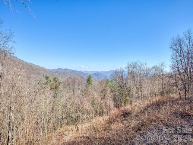 1463 Apple Creek Road, Waynesville, NC 28786