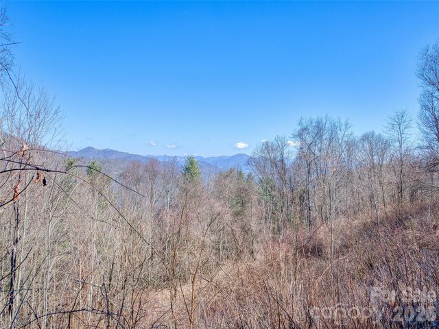 1463 Apple Creek Road, Waynesville, NC 28786
