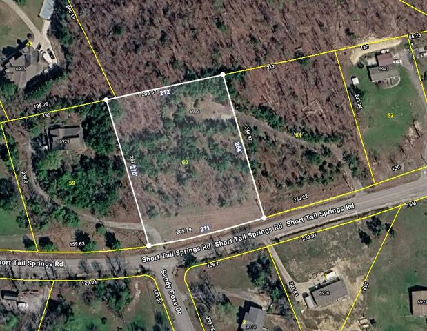 6937 6933 Short Tail Springs Road, Harrison, TN 37341
