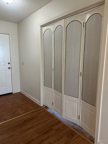 17173 E Cedar Hills Drive, Dexter, MO 63841