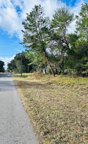 SE 141ST AVENUE, Ocklawaha, FL 32179