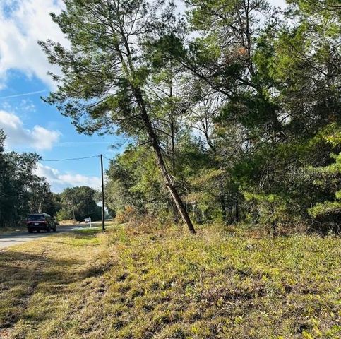 SE 141ST AVENUE, Ocklawaha, FL 32179