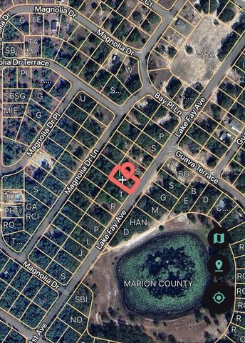 SE 141ST AVENUE, Ocklawaha, FL 32179